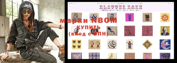 прущие грибы Алзамай