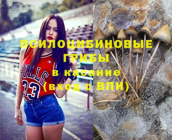 прущие грибы Алзамай
