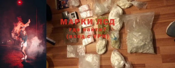 гашик Алексин