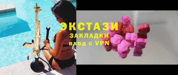 гашик Алексин