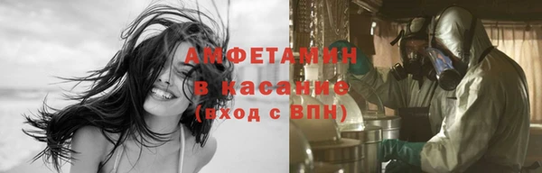 прущие грибы Алзамай
