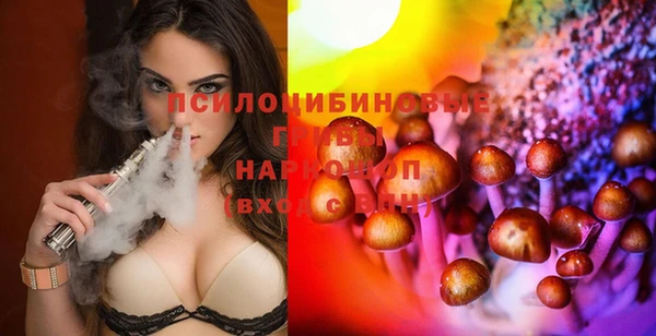 гашик Алексин