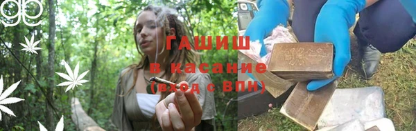 гашик Алексин
