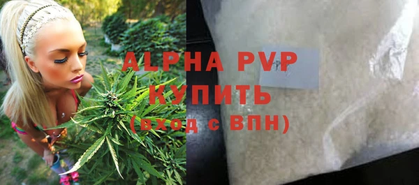 гашик Алексин