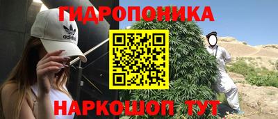 стаф Партизанск