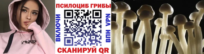 где купить наркоту  маркетплейс наркотические препараты  Псилоцибиновые грибы прущие грибы  Чусовой  кракен как войти 