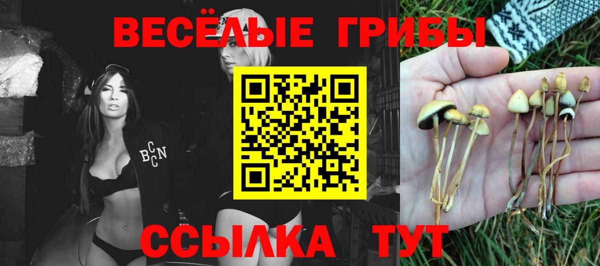 Чусовой  Галлюциногенные грибы прущие грибы  Галлюциногенные грибы мицелий  Вход с VPN 