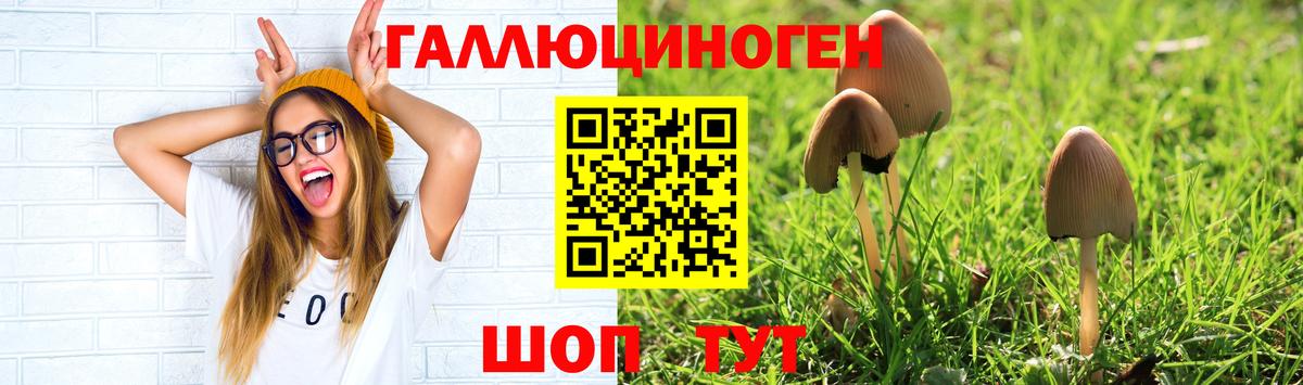 Галлюциногенные грибы Cubensis Чусовой